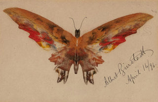 Albert Bierstadt - Butterfly.webp