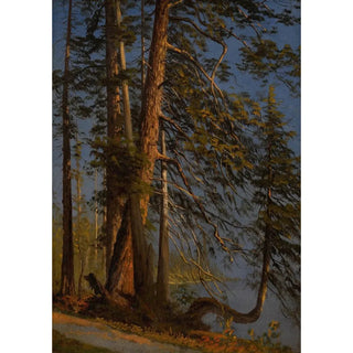 Albert Bierstadt - Park at Vancouver.webp