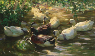 Alexander Koester - Ducks on a Pond.webp