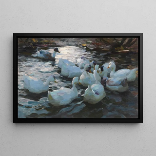 Alexander Koester - Elf Enten im Wasser.webp