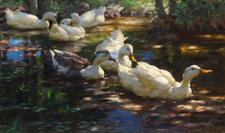 Alexander Koester - Sieben Enten im schattigen Waldteich.webp