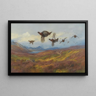 Archibald Thorburn - Swerving From The GunsRed Grouse.webp