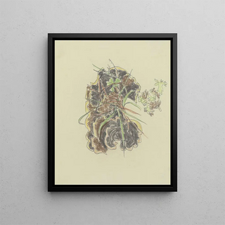 August Babberger - Study of plants.webp