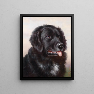 Carl Reichert - Neufundlnder.webp