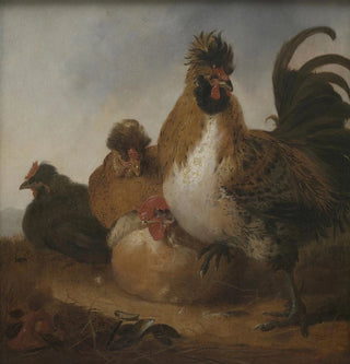 Coq et poules, type d'objet - Aelbert Cuyp