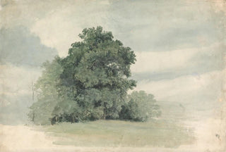 Cornelius Varley - Study of Trees at the Edge of a Field.webp