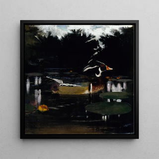 Étude de canard colvert mâle dans un étang forestier pour le livre Camouflage dans le royaume animal - Abbott Handerson Thayer