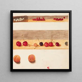 Étude de fruits et de fleurs - Johanna Fosie