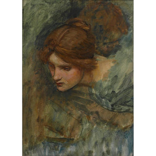 Étude pour la tête de Vénus dans L'Éveil d'Adonis - John William Waterhouse | Reproduction Tableau Décoration murale affiche copie