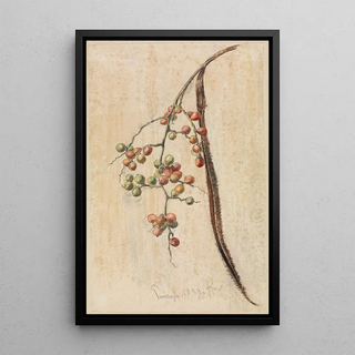 Ferdinand Keller - Studie eines Frchte tragenden Zweiges.webp