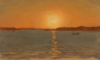 Frederic Edwin Church - Newfoundland Cat Head.webp