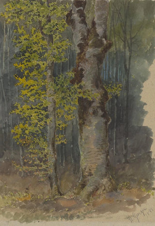 Friedrich Carl von Scheidlin - Study of a Trunk Branching Out.webp