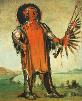 George Catlin - HaNaTNuMak Wolf Chief Head Chief of The Tribe.webp