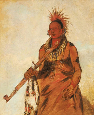 George Catlin - Noomnnee Walks in the Rain a Warrior.webp