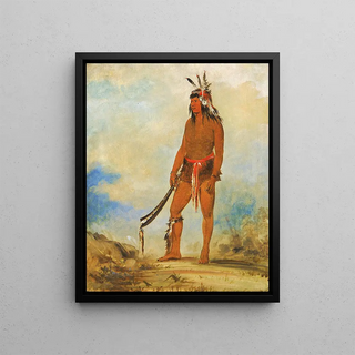 George Catlin - WonDeTwA The Wonder.webp