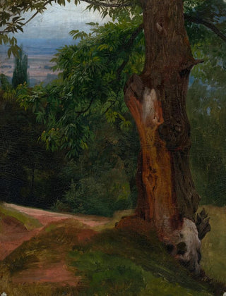 Johann Wilhelm Schirmer - Baumstudie mit Talblick.webp