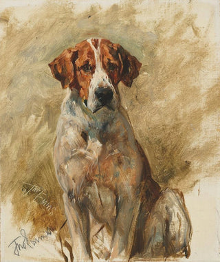 John Emms - Study of a Hound.webp