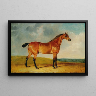 John Frederick Herring Jr - A bay horse in a vast landscape.webp