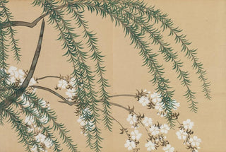 Kamisaka Sekka - Willow and Cherry Yanagizakura.webp