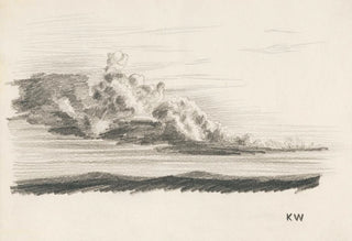 Karl Wiener - Naturstudie XXIV.webp