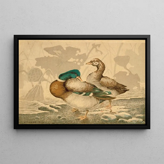 Kobayashi Kiyochika - Ducks and Withered Lotus.webp