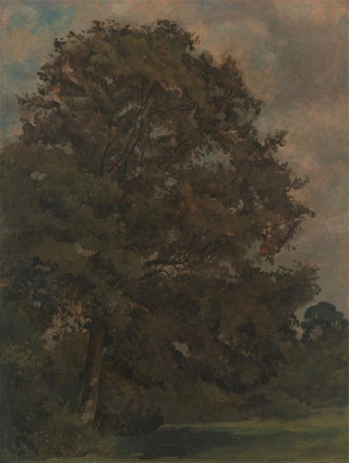 Lionel Constable - Study of an Ash Tree.webp