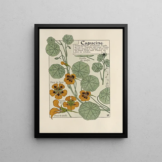 Maurice Pillard Verneuil - Capucine.webp