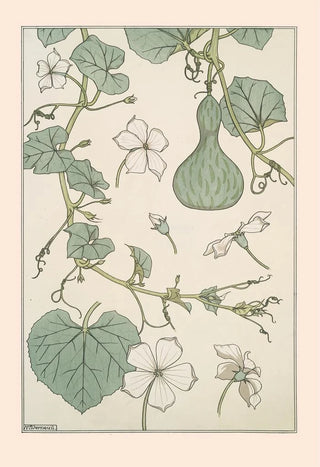 Maurice Pillard Verneuil - Courge.webp