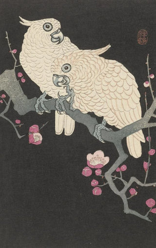 Ohara Koson - Two cockatoo and plum blossom.webp