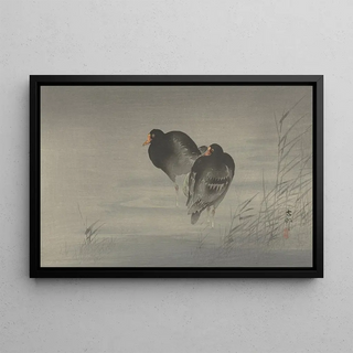Ohara Koson - Two moorhens.webp