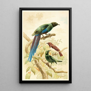 Pierre Jacques Smit - Glossy Starlings.webp