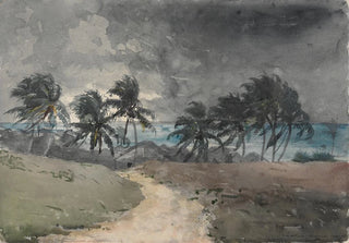 Winslow Homer - Storm Bahamas.webp