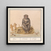 Aap Primates Aep Simius Singe - Anselmus Botius de Boodt — gerahmtes Bild an der Wand