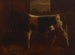 Ein preisgekröntes Stier - Abbott Handerson Thayer — Ansicht des Kunstwerks