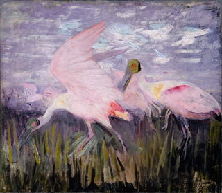 Abbott Handerson Thayer - Roseate Spoonbills study for book Concealing Coloration in the Animal Kingdom.webp