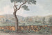von Ruinen des Tempels von Castor und Pollux innerhalb der Mauern des alten Agrigent - Abraham Louis Rodolphe Ducros — Ansicht des Kunstwerks