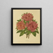Flore hollandaise et Pomone 17 - Abraham Jacobus Wendel — gerahmtes Bild an der Wand