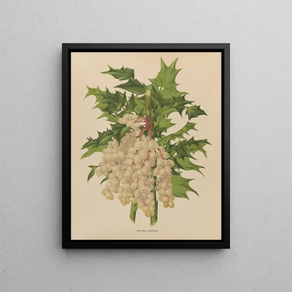 Abraham Jacobus Wendel - Nederlandsche flora en pomona Pl41.webp