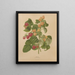 Flore hollandaise et Pomone PL46 - Abraham Jacobus Wendel — gerahmtes Bild an der Wand