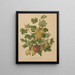 Flore holländische und Pomone PL47 - Abraham Jacobus Wendel — gerahmtes Bild an der Wand