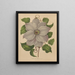 Flore hollandaise et Pomone PL54 - Abraham Jacobus Wendel — gerahmtes Bild an der Wand
