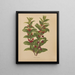 Flore hollandaise et Pomone PL60 - Abraham Jacobus Wendel — gerahmtes Bild an der Wand