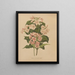 Flore hollandaise et Pomone PL74 - Abraham Jacobus Wendel — gerahmtes Bild an der Wand