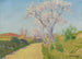 La Route aux amandiers fleuris - Achille Laugé — Ansicht des Kunstwerks