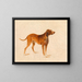 Jagdhund - Adalbert Stifter — gerahmtes Bild an der Wand