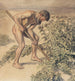 Adam zeichnend Distel - Joakim Skovgaard — Ansicht des Kunstwerks