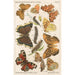 Deutsches Schmetterlings-Entomologie-Gemälde für Anfänger mit Sammelguide Pl01 - Adolf Speyer — Ansicht des Kunstwerks