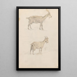 Adolph Tidemand - Geiter.webp