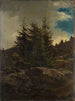 Landschaft von Nes in Hallingdal - Adolph Tidemand — Ansicht des Kunstwerks