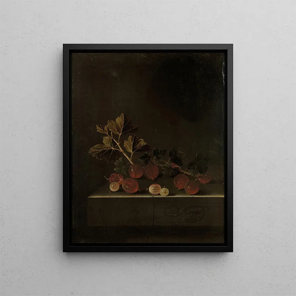 Adriaen Coorte - A Sprig of Gooseberries on a Stone Plinth.webp
